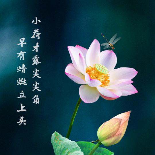情到深处不纠缠