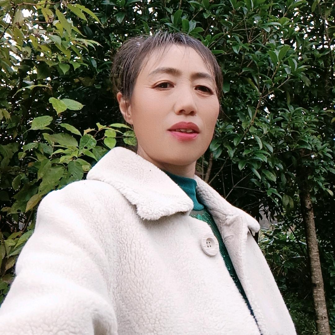 三毛姐(首播筹备中 )