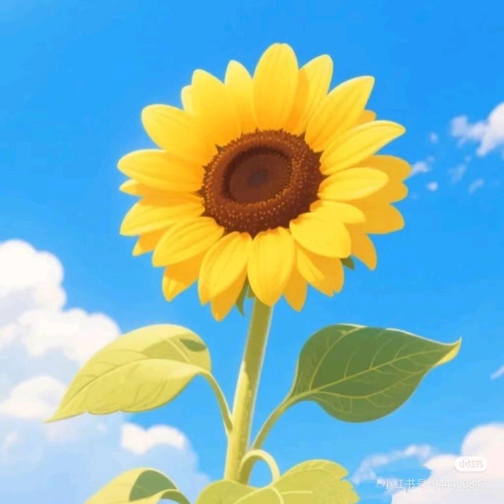 淼淼阅读