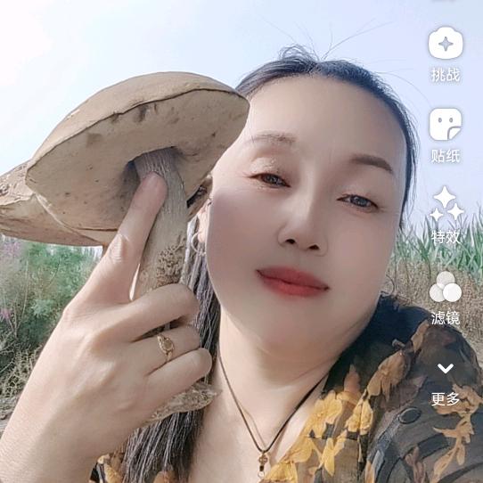 晏大姐