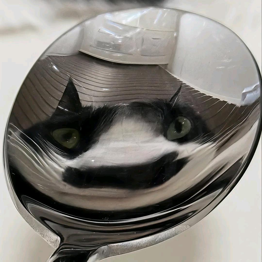 对方正在输入……