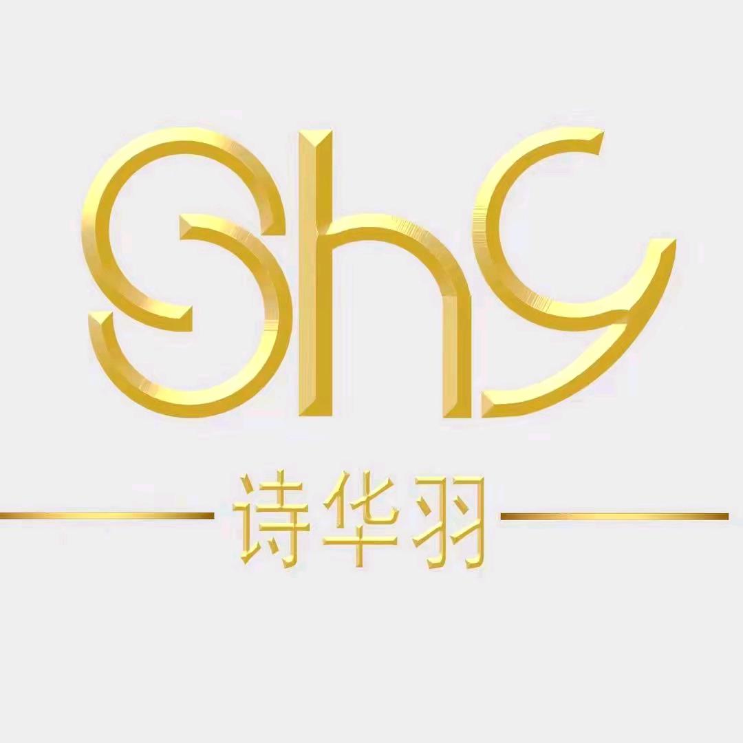 诗华羽智能照明节电解决方案-