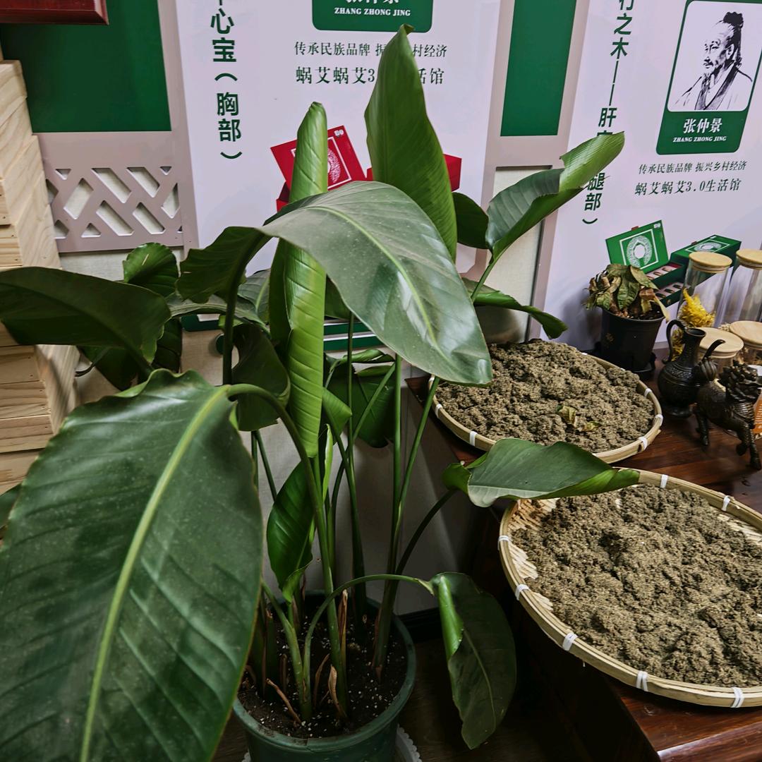 和脉张姐
