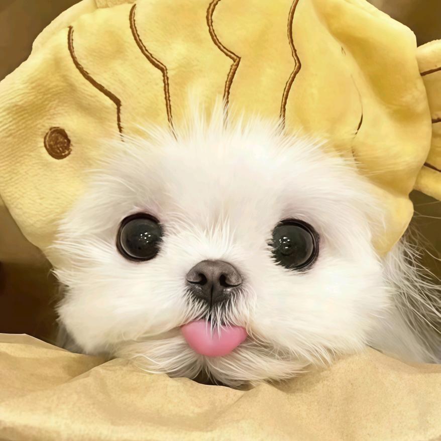 小健