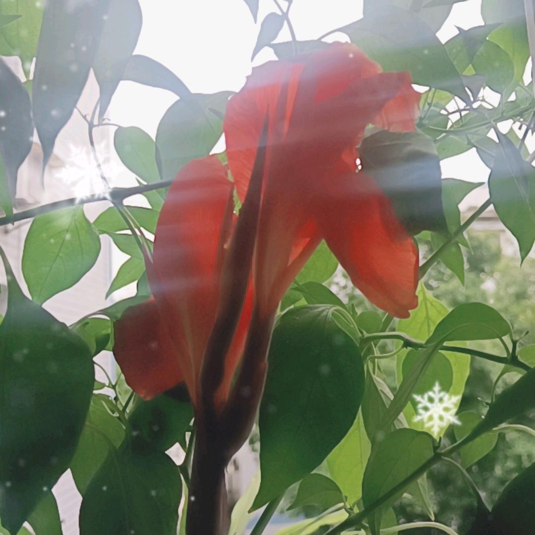 珍惜