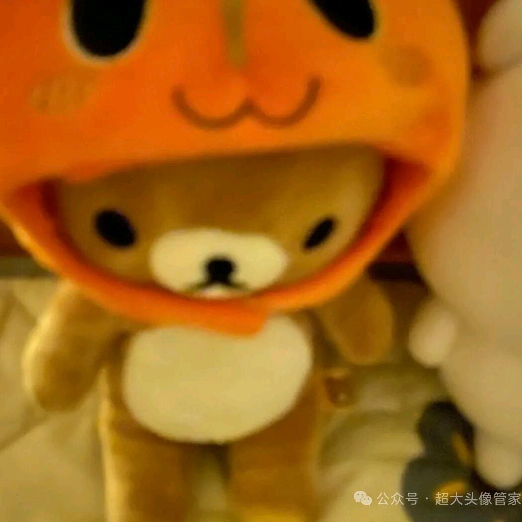 笨蛋