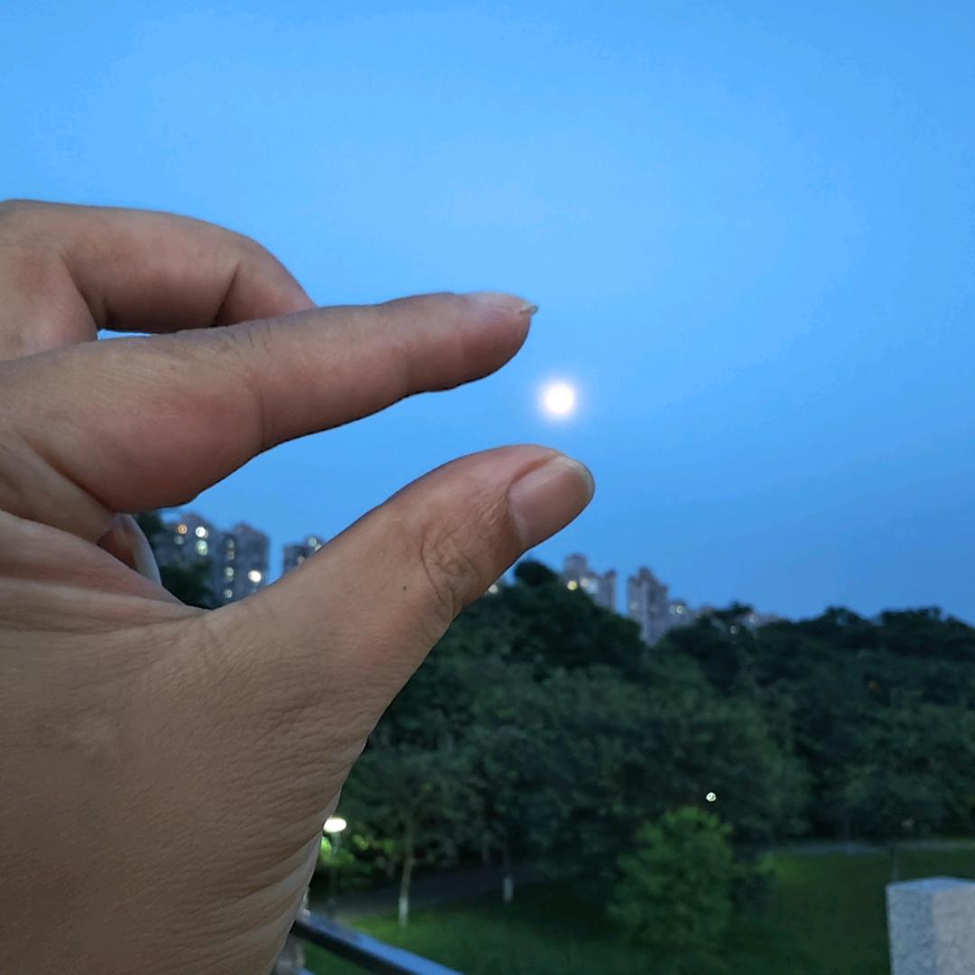 Y小毅