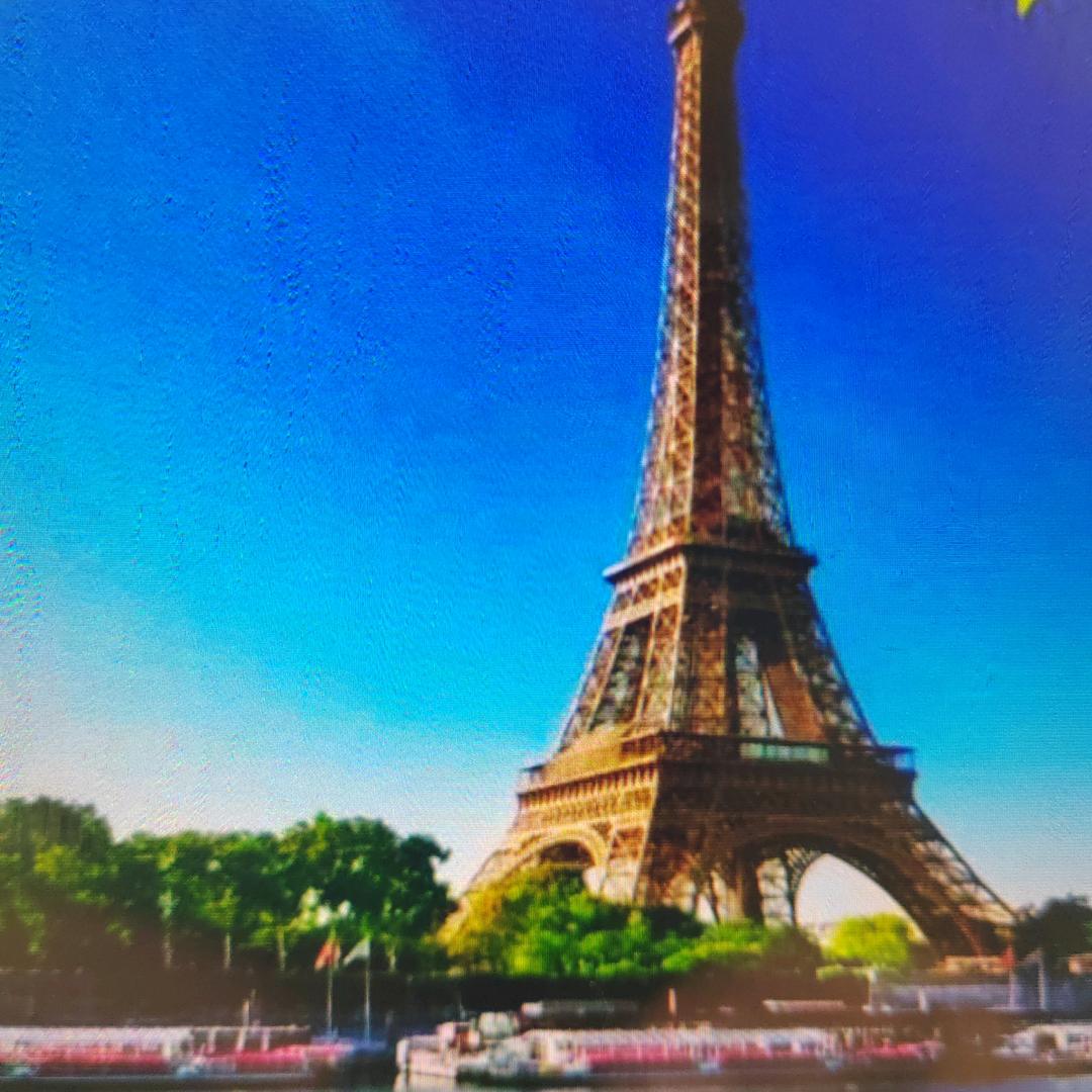 🌏寒风🌏🌴🌴🌴🌏