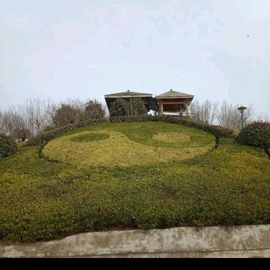 郭哥好运来🐒🐒🐒