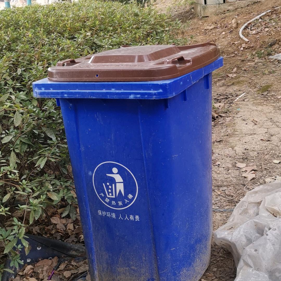 名贵垃圾桶观赏