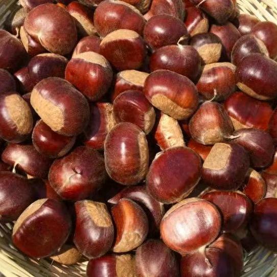 秦岭云馨山货特产