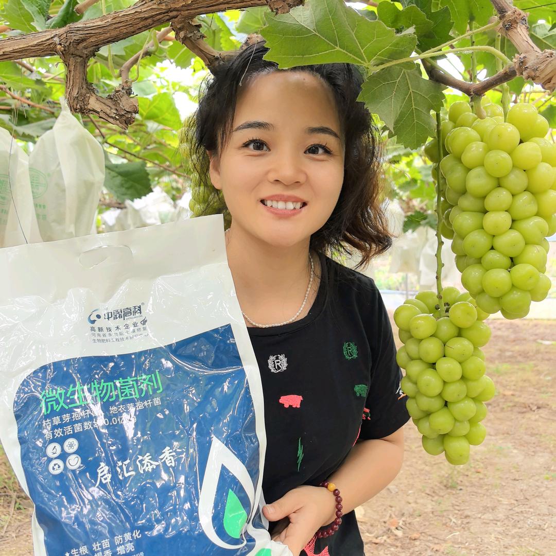 中霖高科晓晓农资店