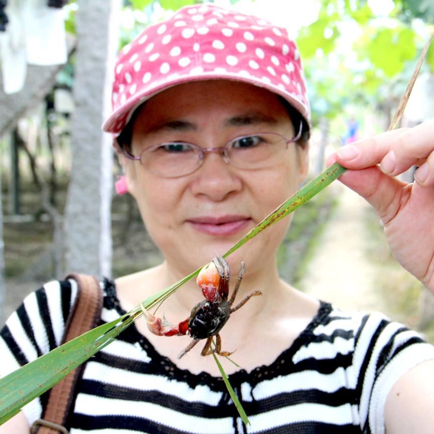 杨姐