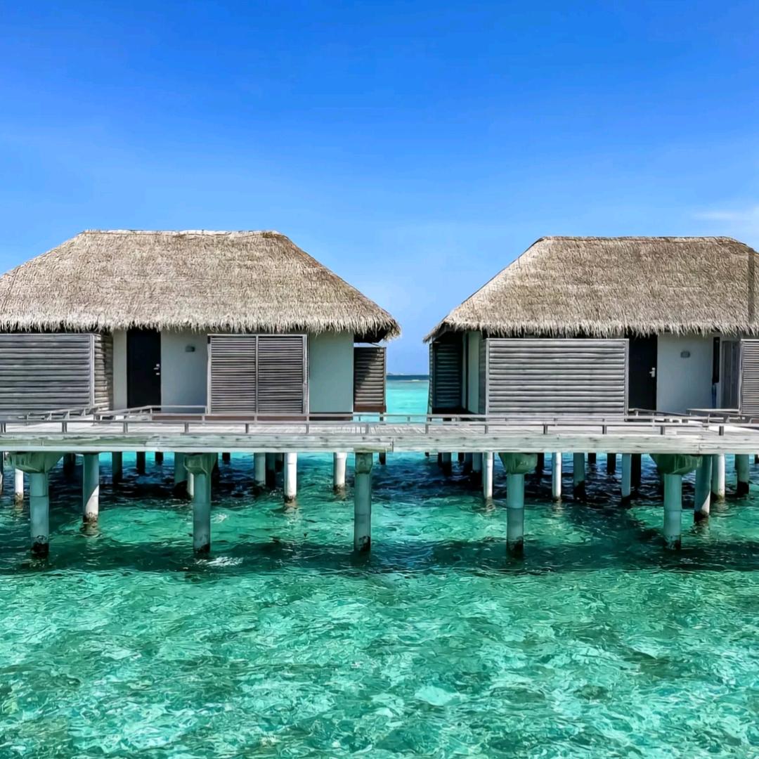 ✨ 尧顺实业 ✨