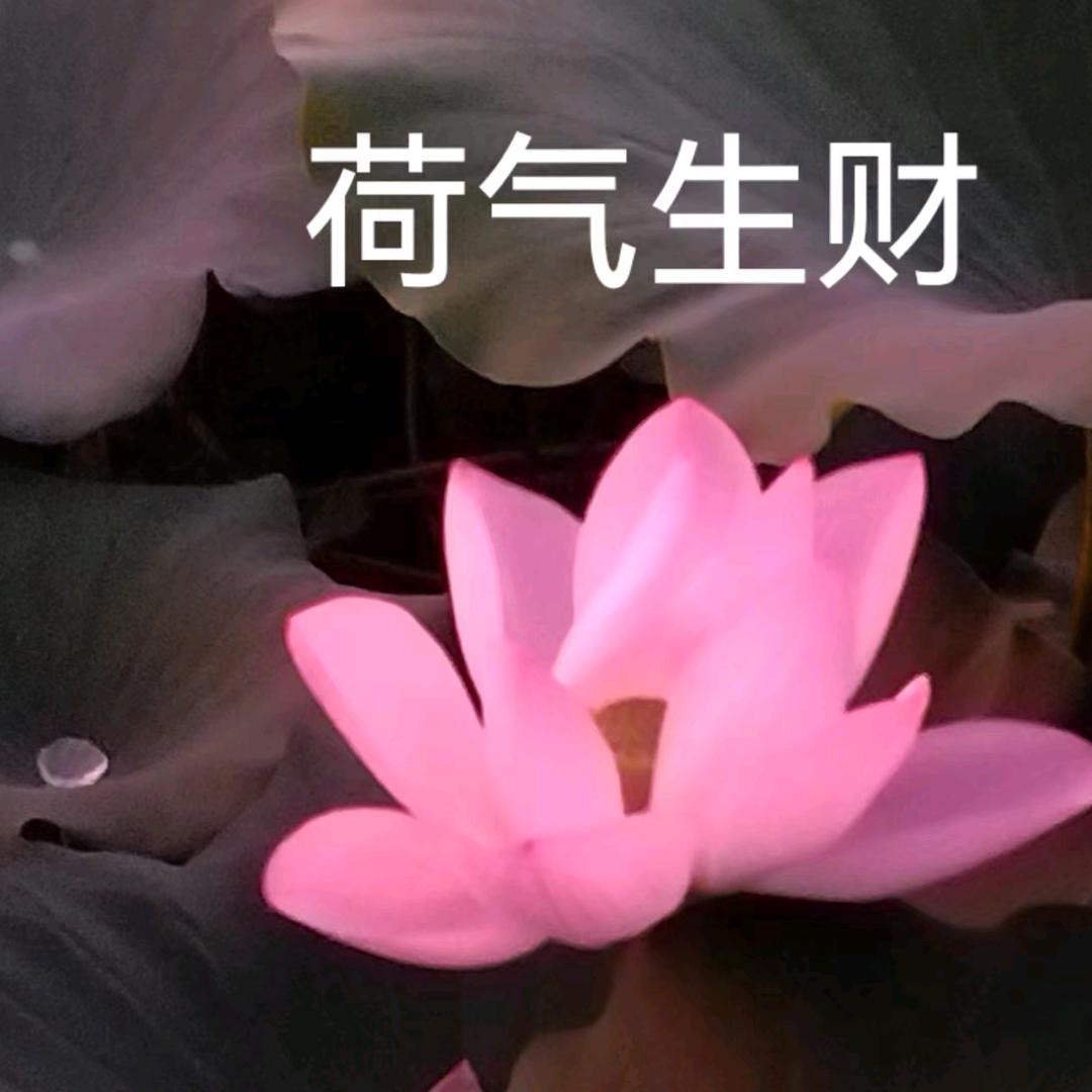西伯利亚大铁锤🔨🔨