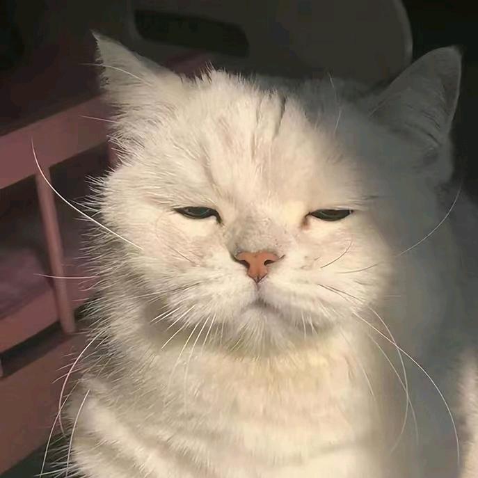 这个人尤其的好