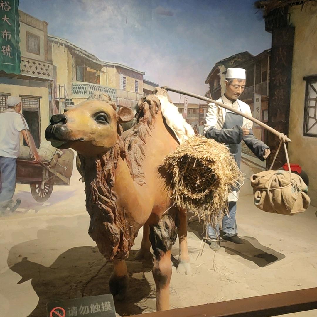 🍒岁月静好🍒