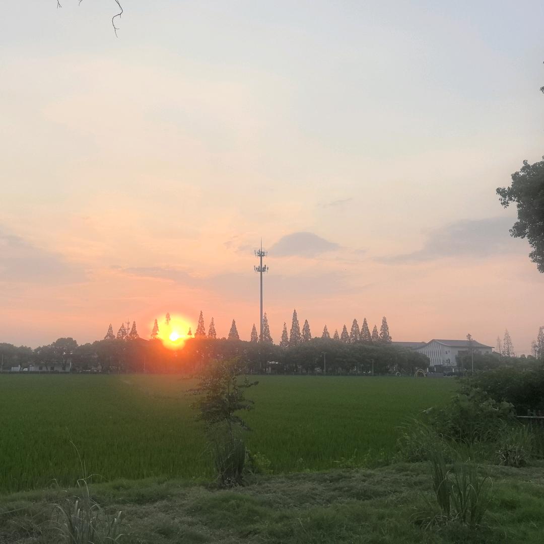 西兰花🥦的宝🚲