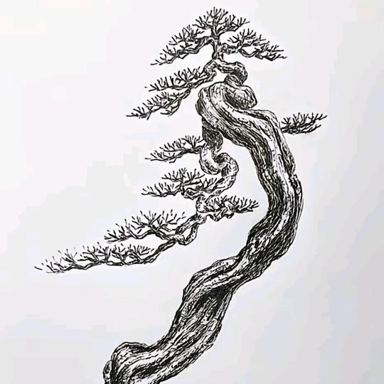 小昊