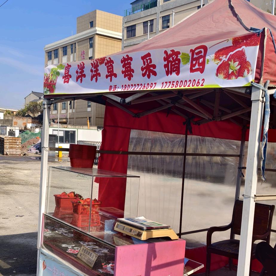 🍓柯桥区齐贤街道喜洋洋草莓采摘园🍓