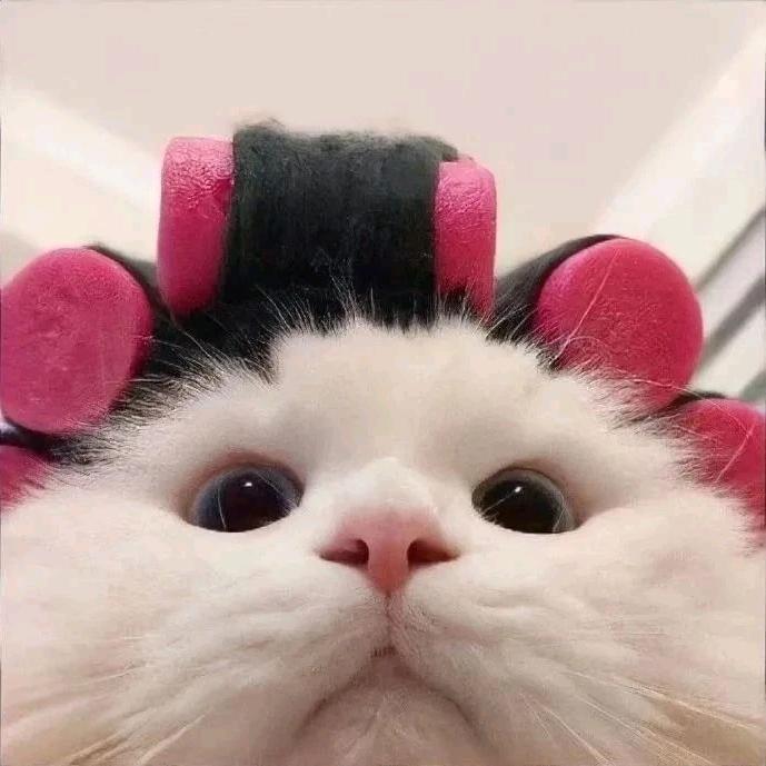 蔡蔡不菜