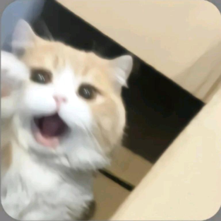 江九