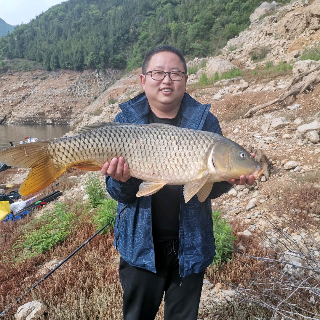 北极辰光