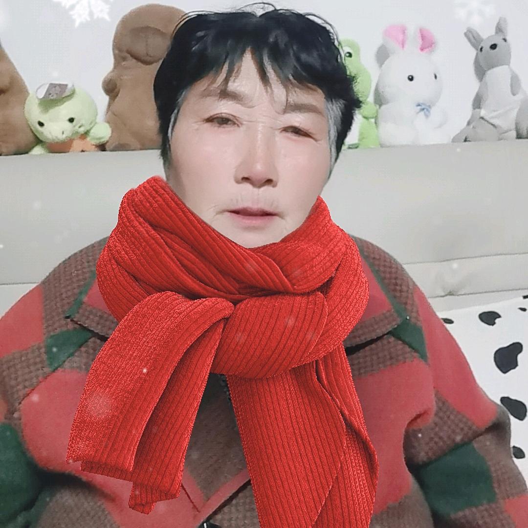 爱打麻将的老太太.