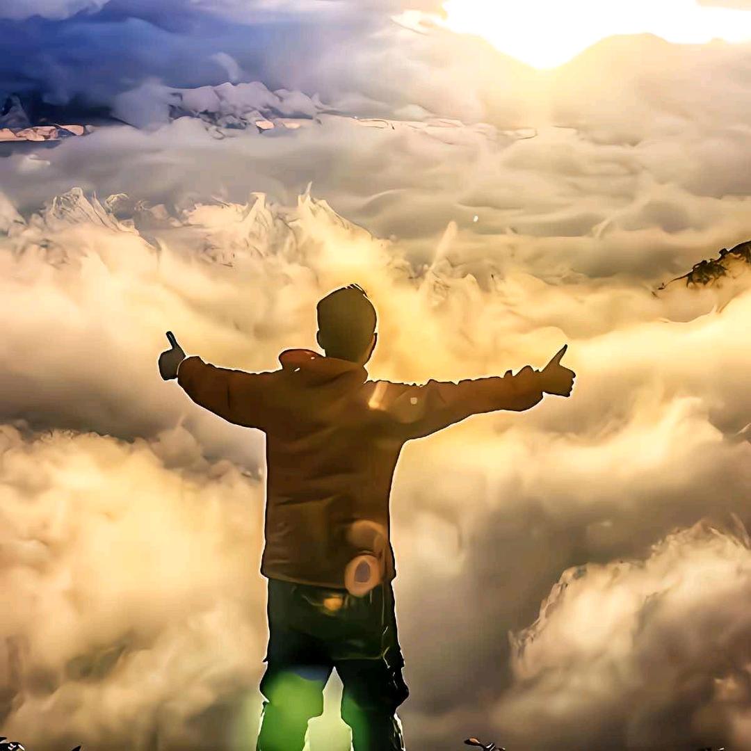 鼎皓商行个体店