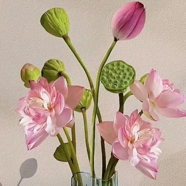 漯河玖程教育（全日制大专）