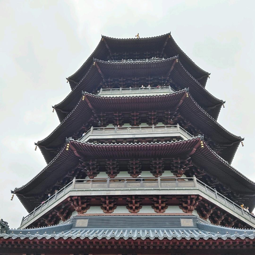 小卢