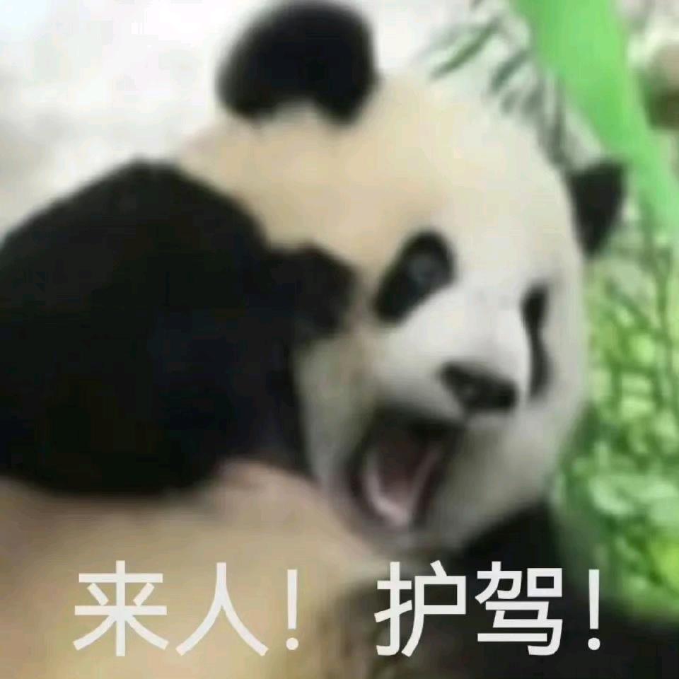 栅下瓜田