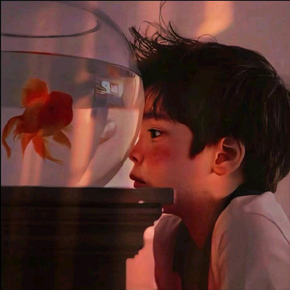 百岁鱼413