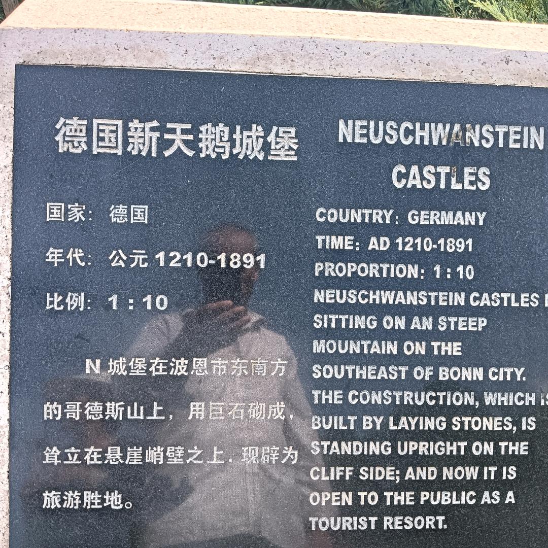 从从容容