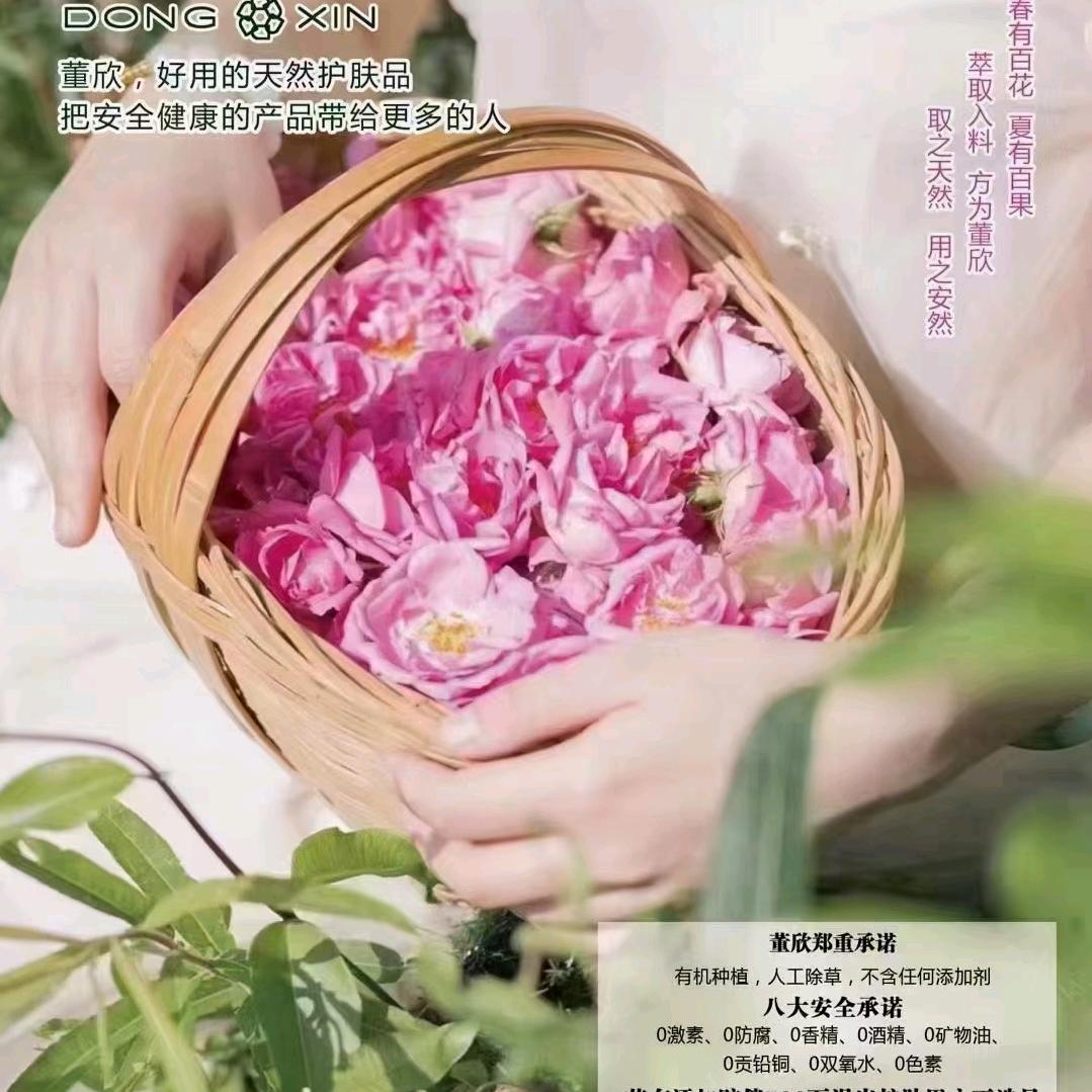 玫瑰🌸