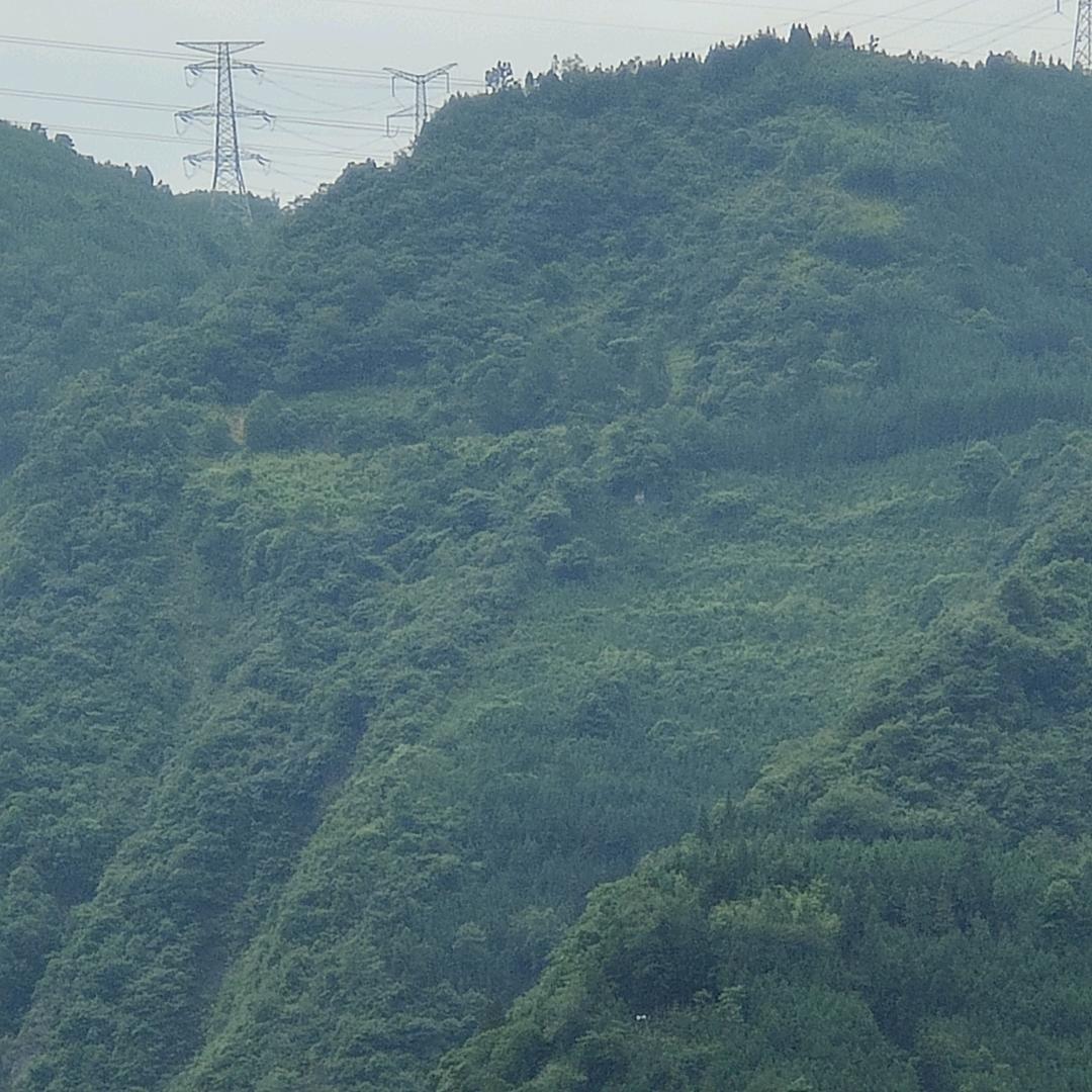 风雨无阻啊