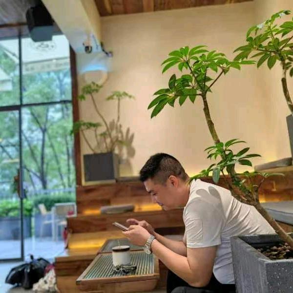 落葉🍂无痕