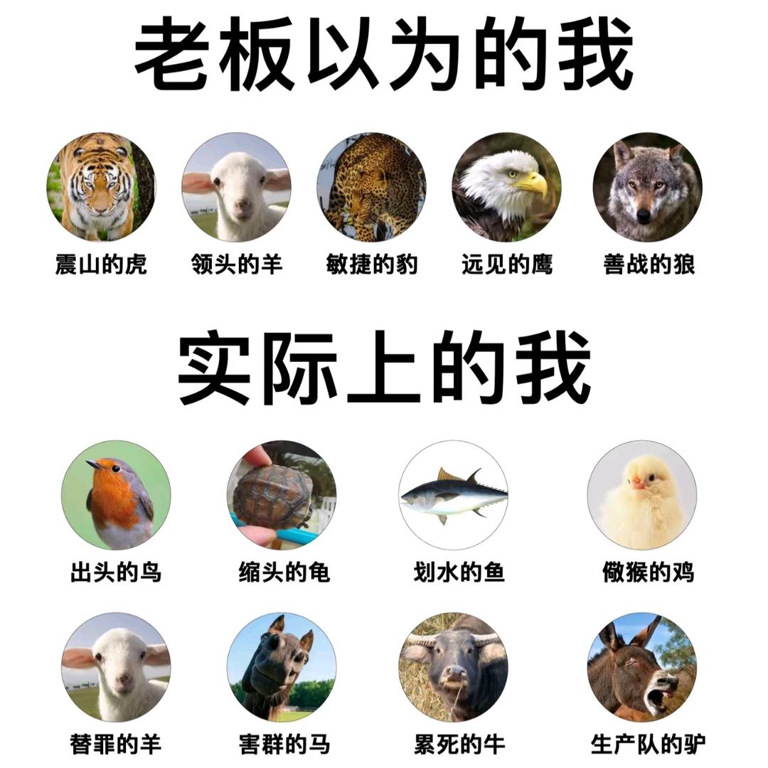 疯狂打工人