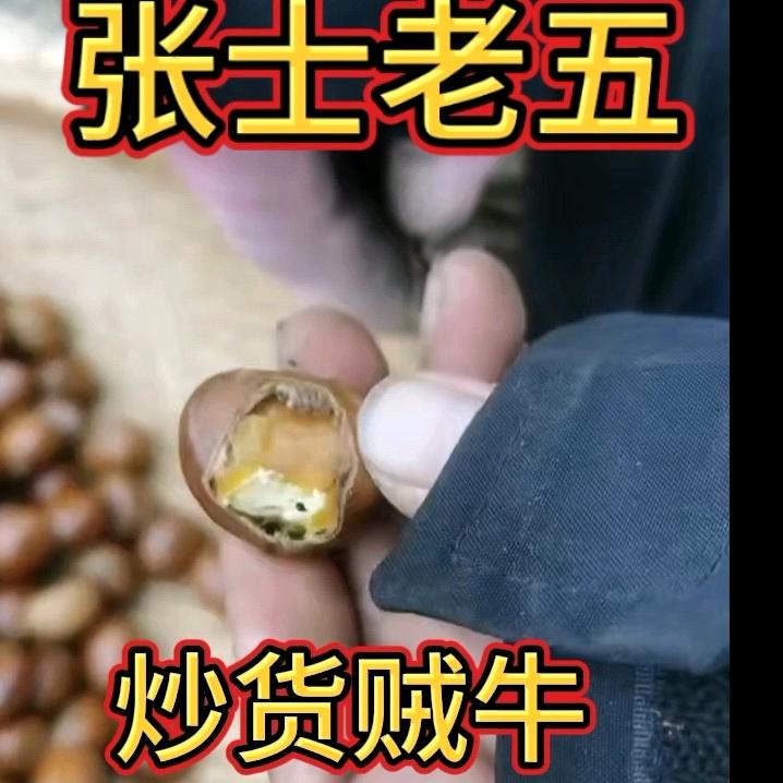 老五家炒货