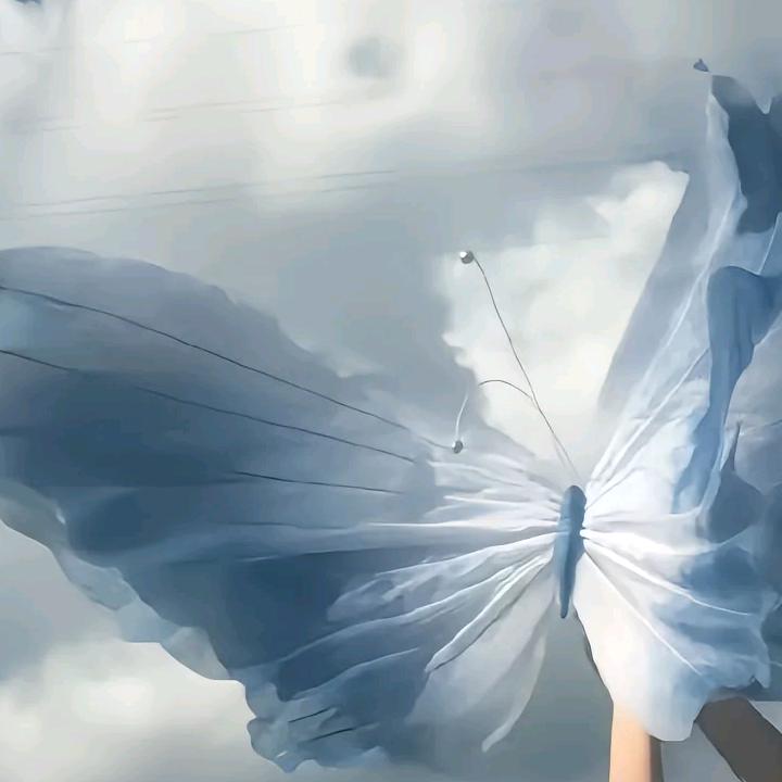 望星