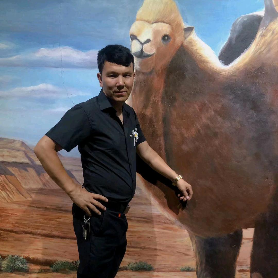 艾尼瓦尔.