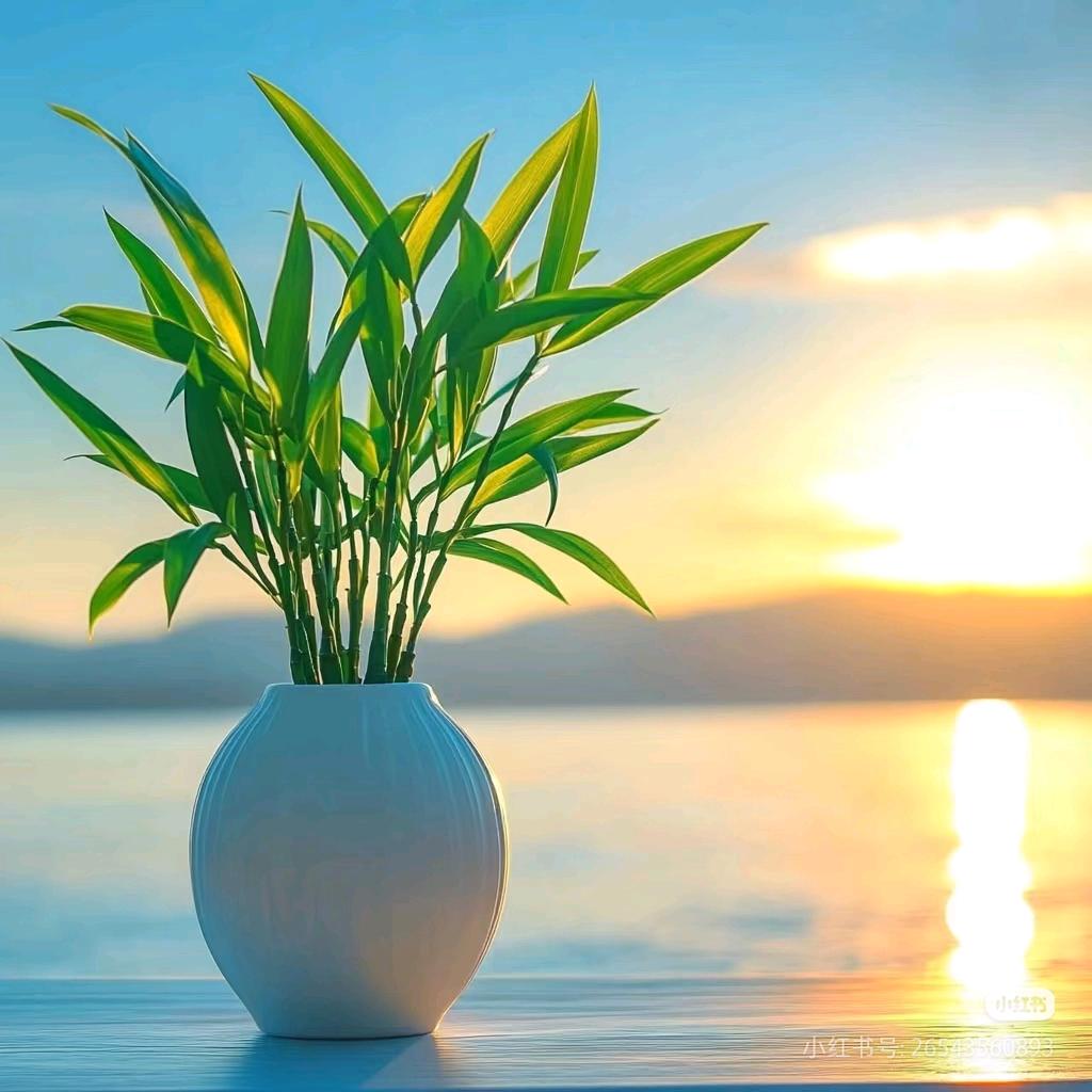 ℒᎭℯ⃝傻💞丫头࿐