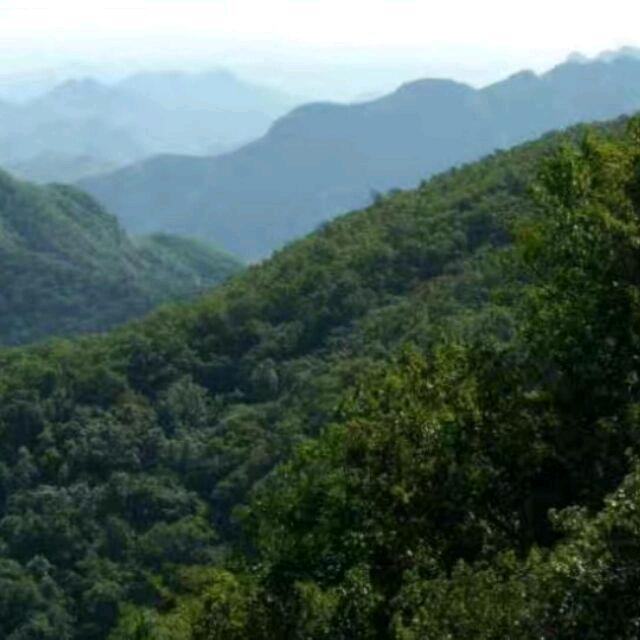 婷姨