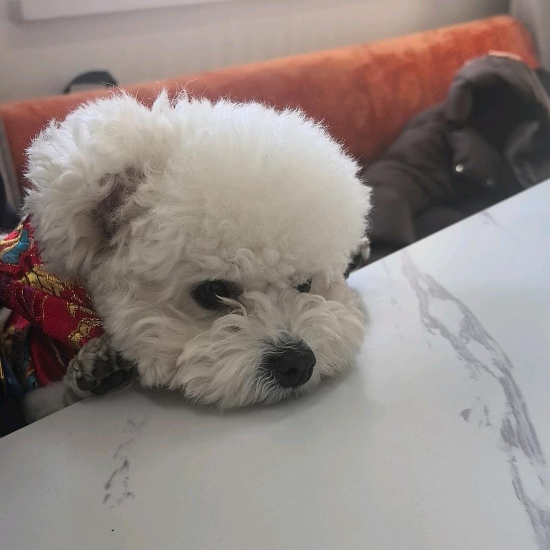 ◞˚椰子比耶ⁿᵃ