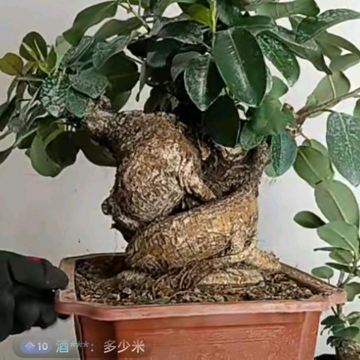 醒悟之间