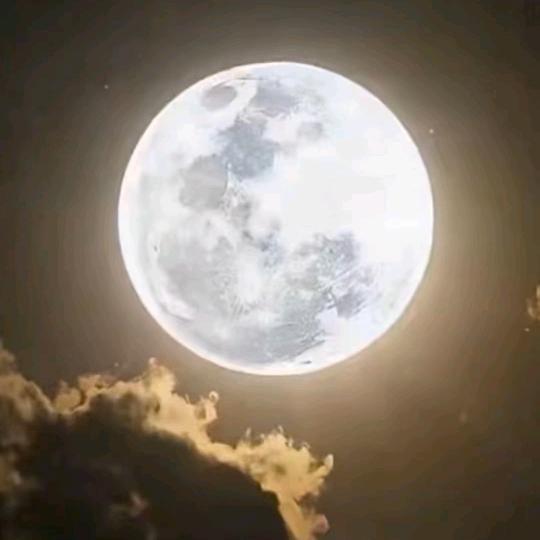 @浪迹天涯，金属回收，