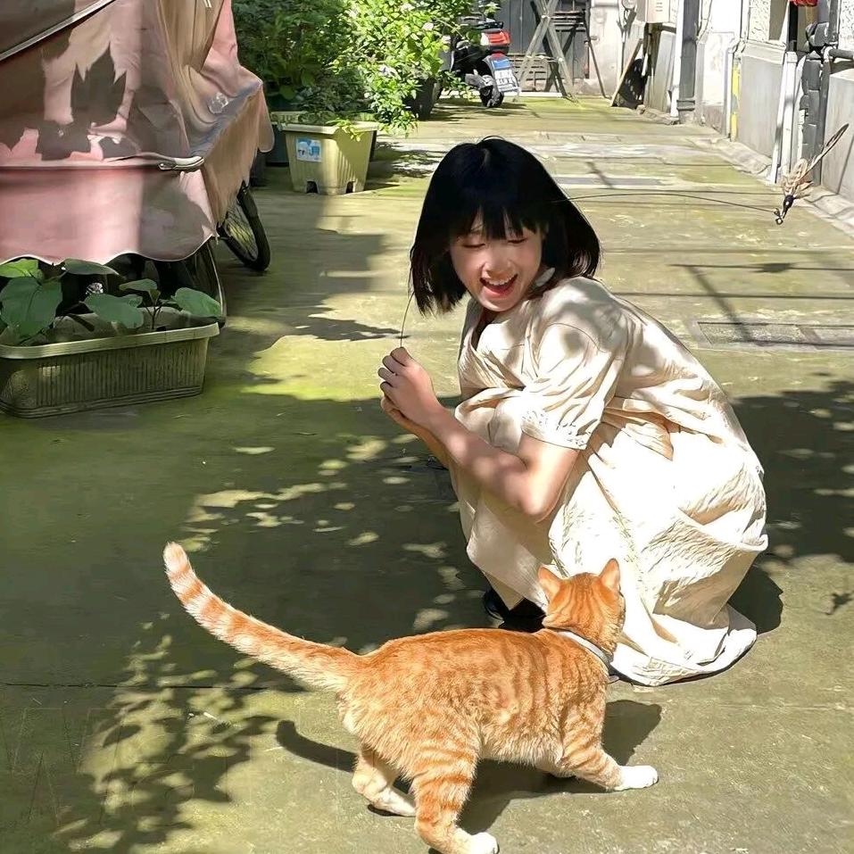 布布布了¹⁷ 💚