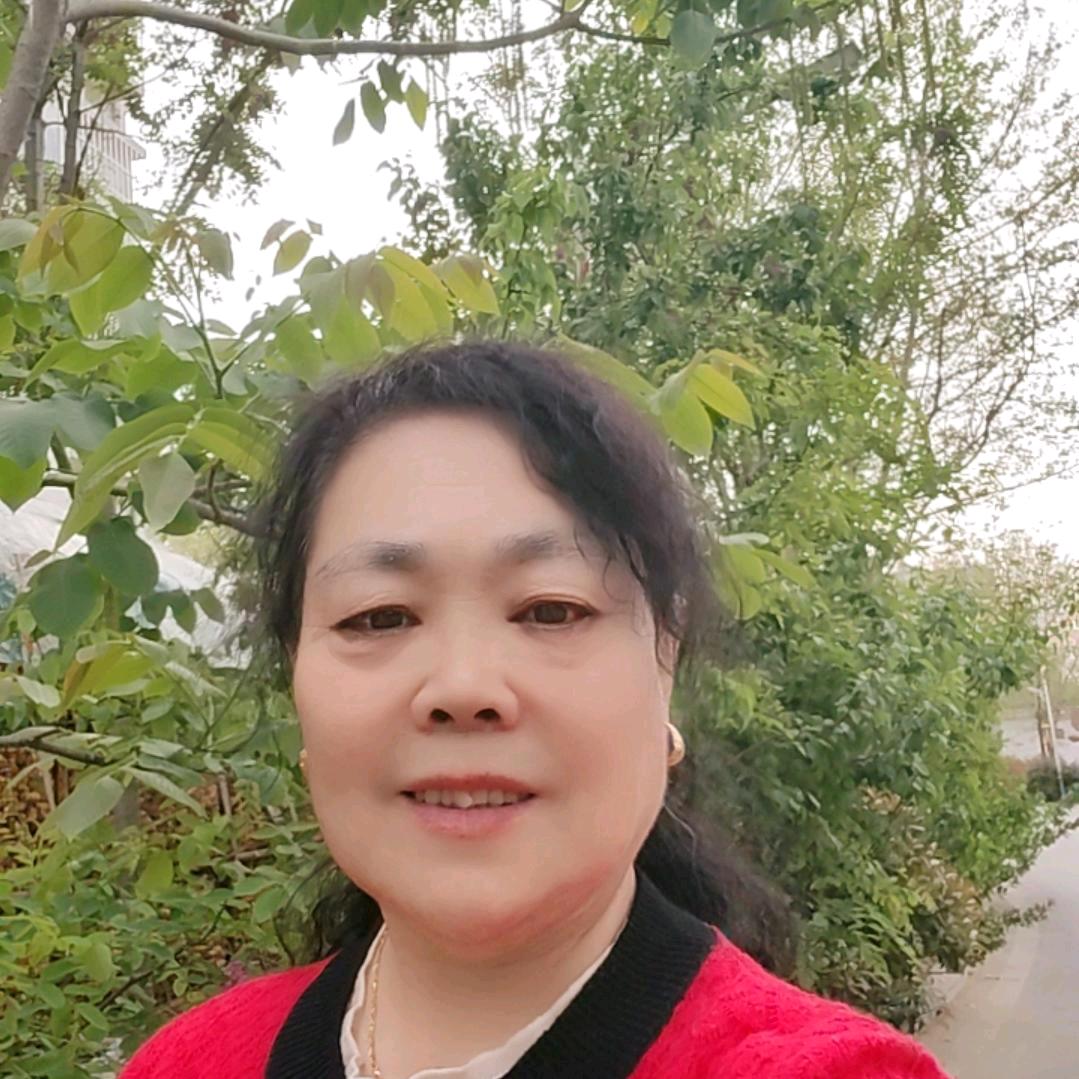 娄姐