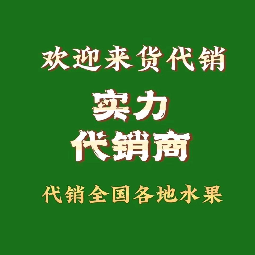 东莞下桥 莞香交易市场