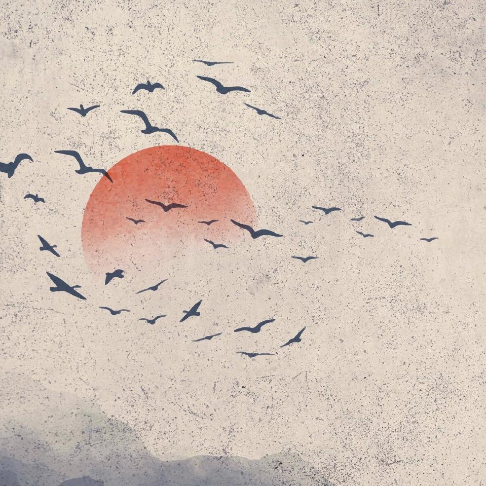 皖徽